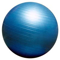 The Gym Ball