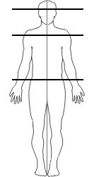body chart