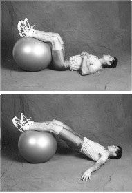 lower back exercises